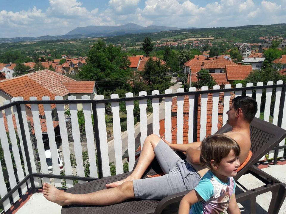 Vila Lenka Sokobanja Екстер'єр фото